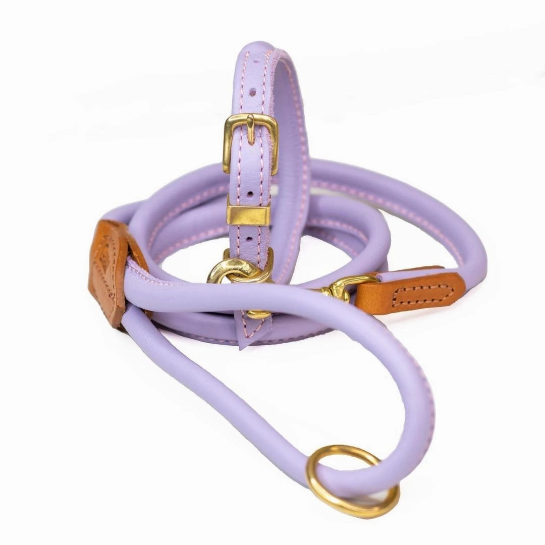 Lilac Rolled Leather Dog Collar by Dogs & Horses