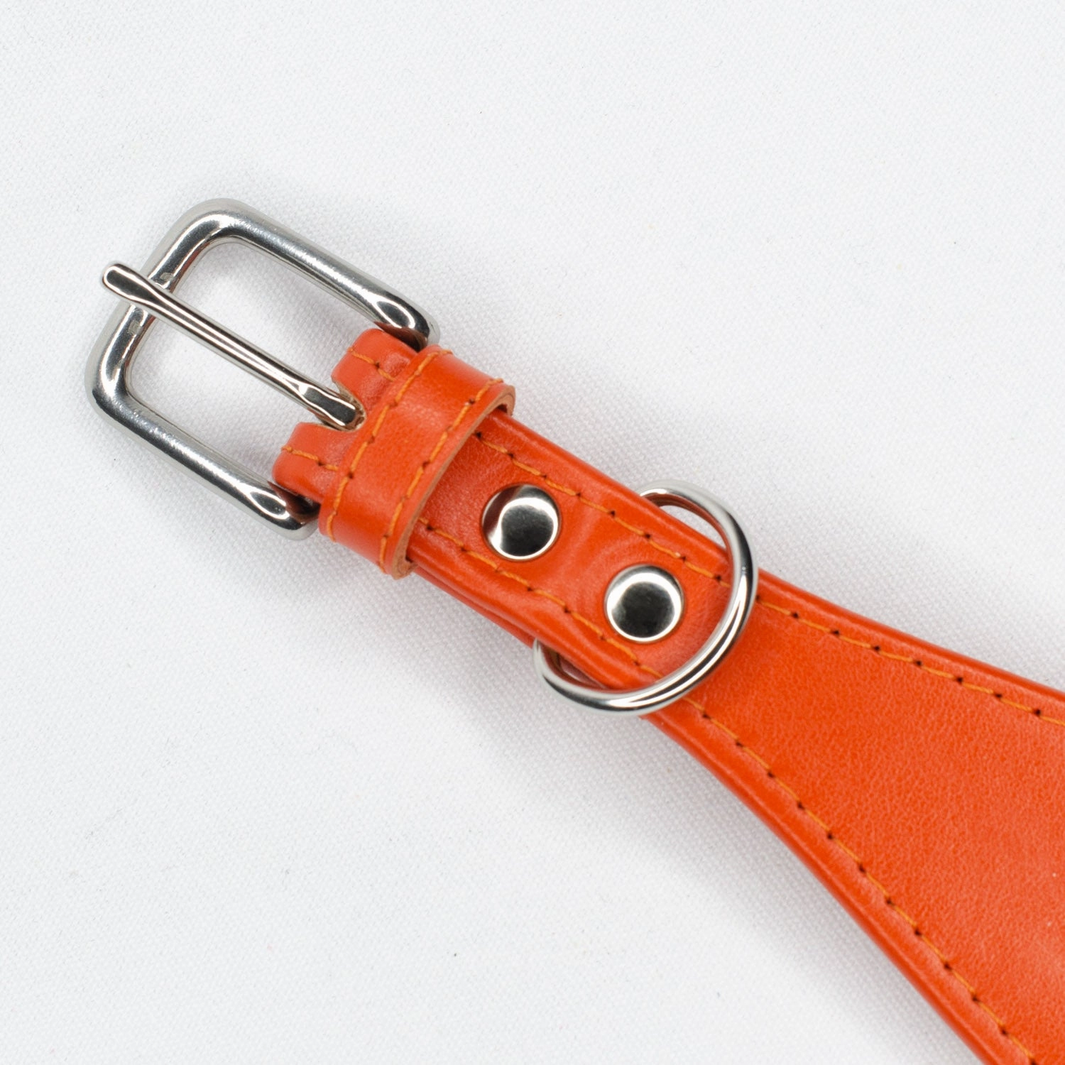 Line Dancer Stylish Collar for Lurchers by Petiquette