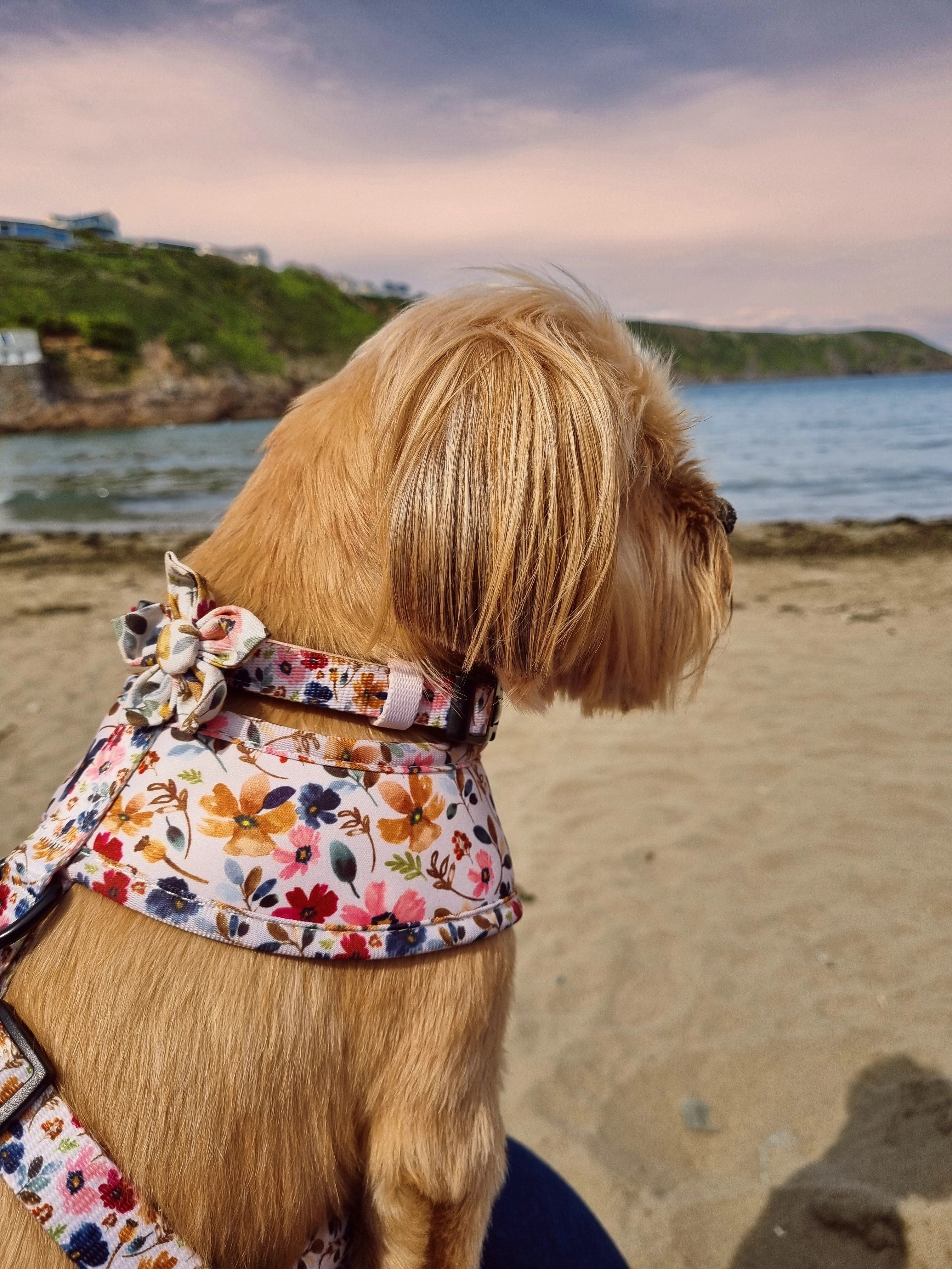 Little Enchanted Meadows Floral Dog Harness