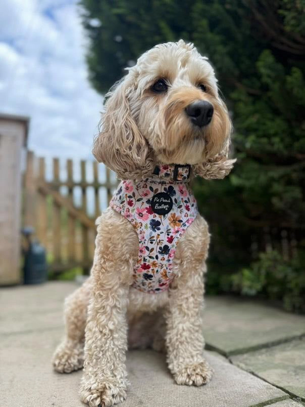Little Enchanted Meadows Floral Dog Harness
