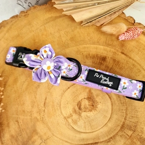 Lucky Little Lavender Daisies Dog Collar With Optional Flower Accessory