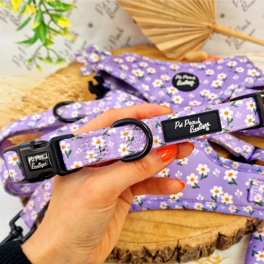 Lucky Little Lavender Daisies Dog Collar With Optional Flower Accessory
