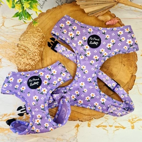 Lucky Little Lavender Daisies Dog Harness