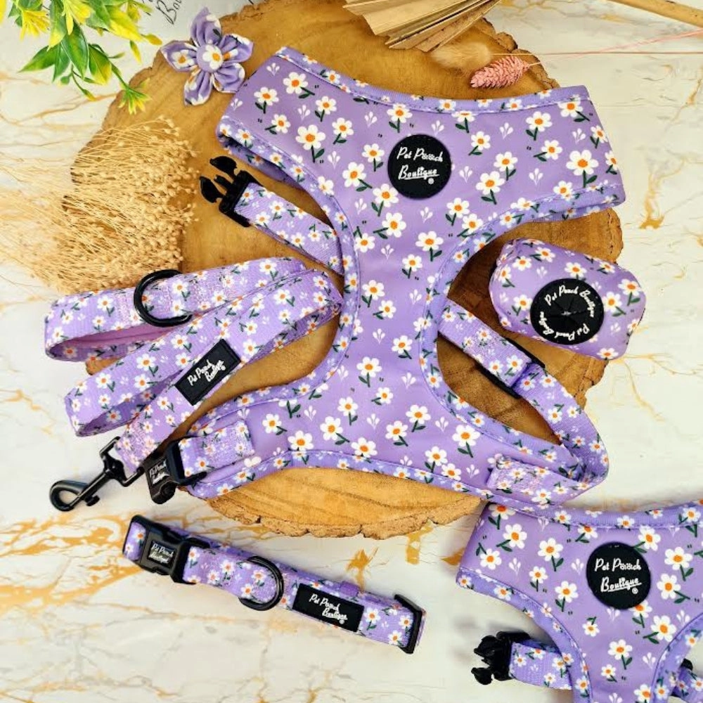 Lucky Little Lavender Daisies Dog Harness