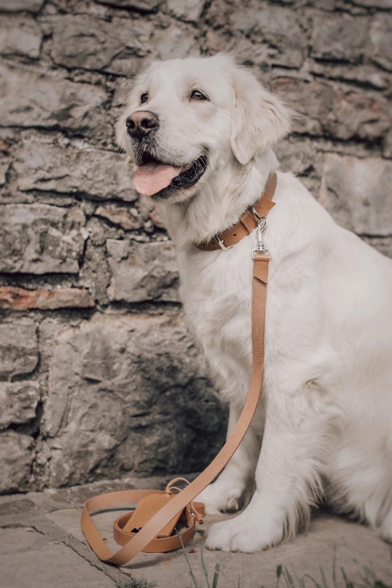 Lussa Natural Italian Camel Leather Dog Lead by Labbvenn