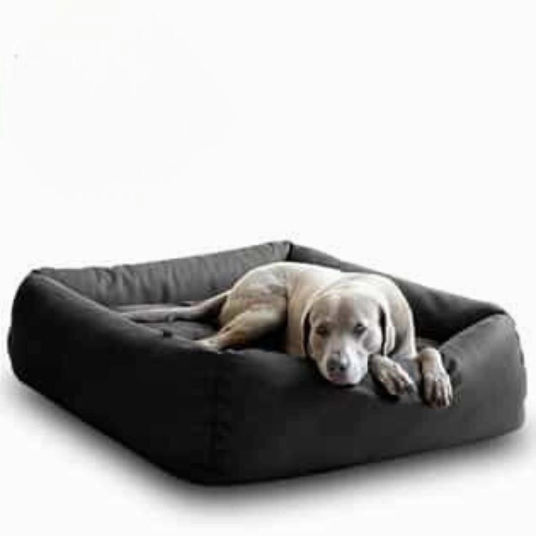 Luxury Boox Buffalo Leather Box Dog Bed