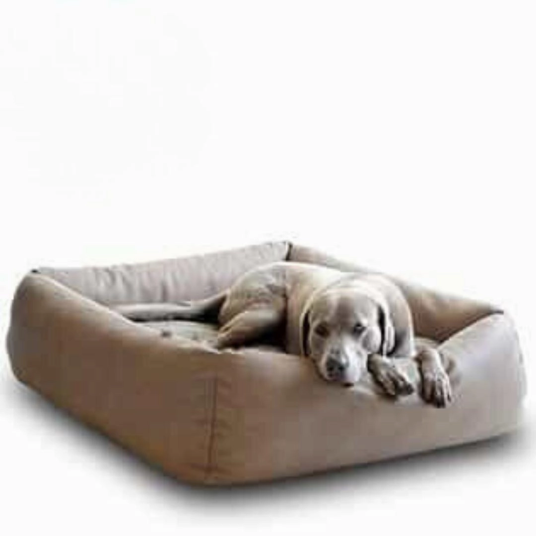 Luxury Boox Buffalo Leather Box Dog Bed