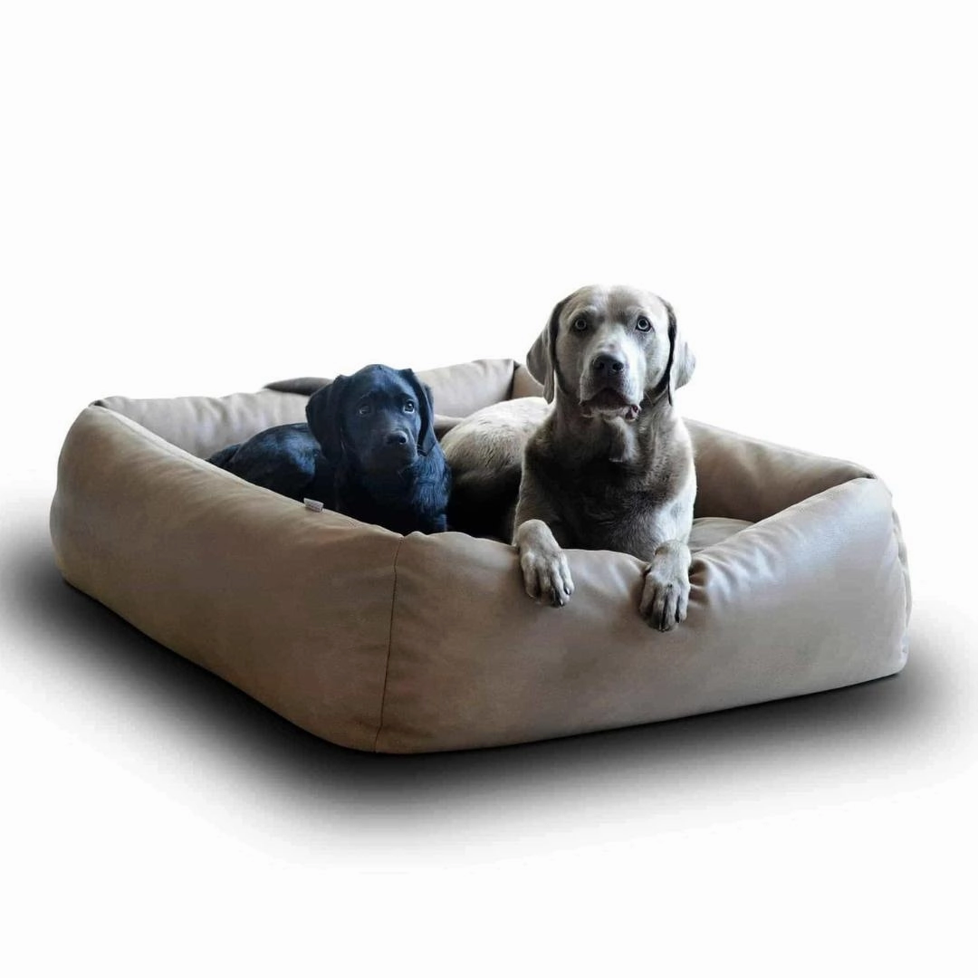Luxury Boox Buffalo Leather Box Dog Bed