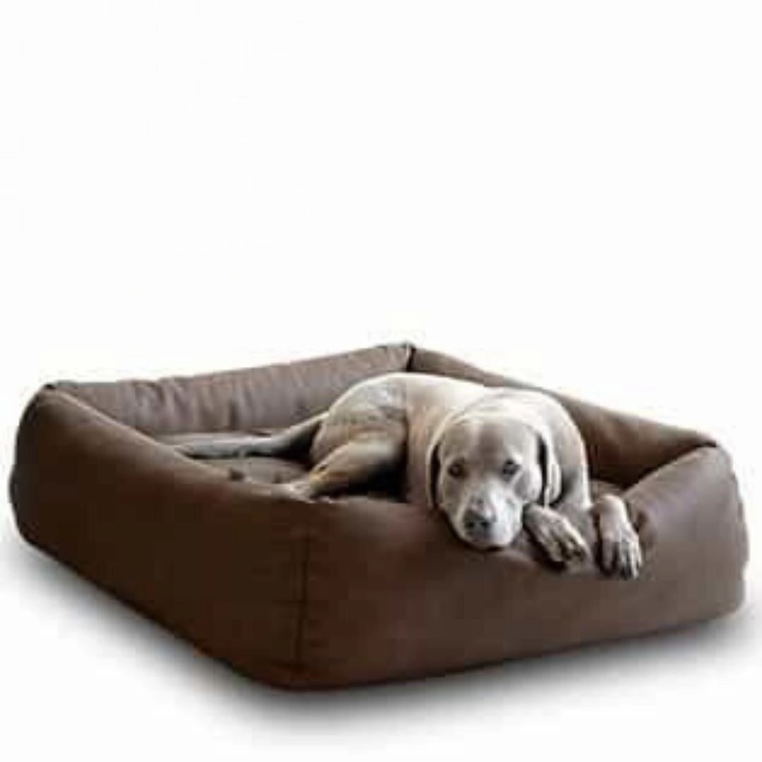 Luxury Boox Buffalo Leather Box Dog Bed