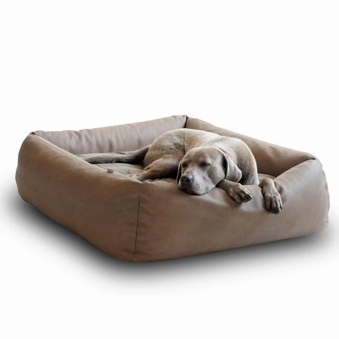 Luxury Boox Buffalo Leather Box Dog Bed