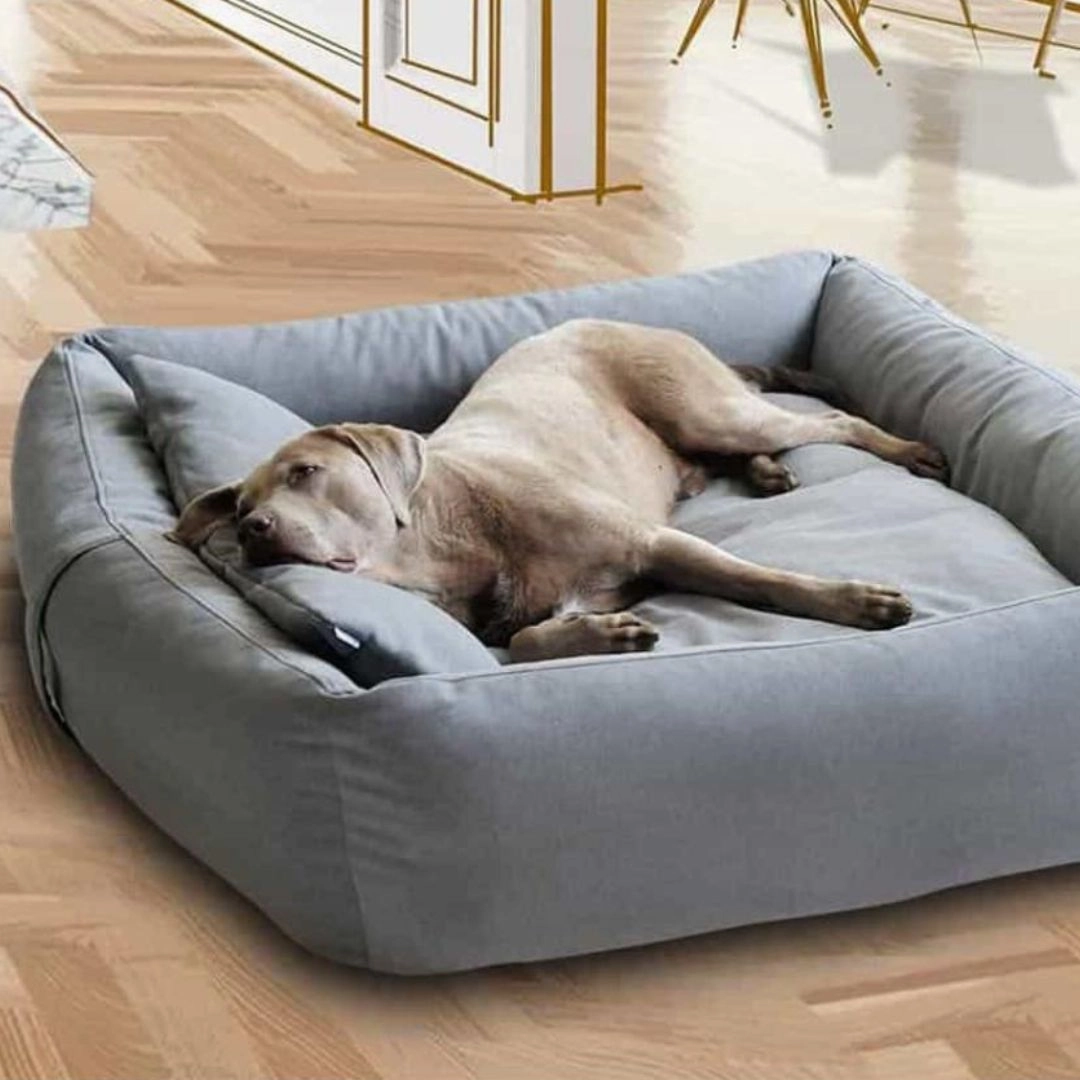 Luxury Boox Fabric Box Dog Bed