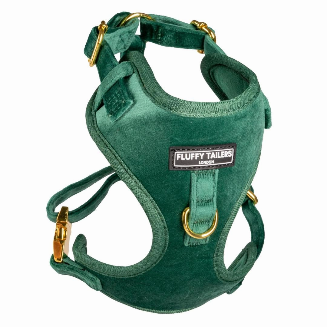 Luxury Emerald Green Velvet Harness, Dog Collar And Bow Tie, Lead and Poo Bag Holder Complete Set