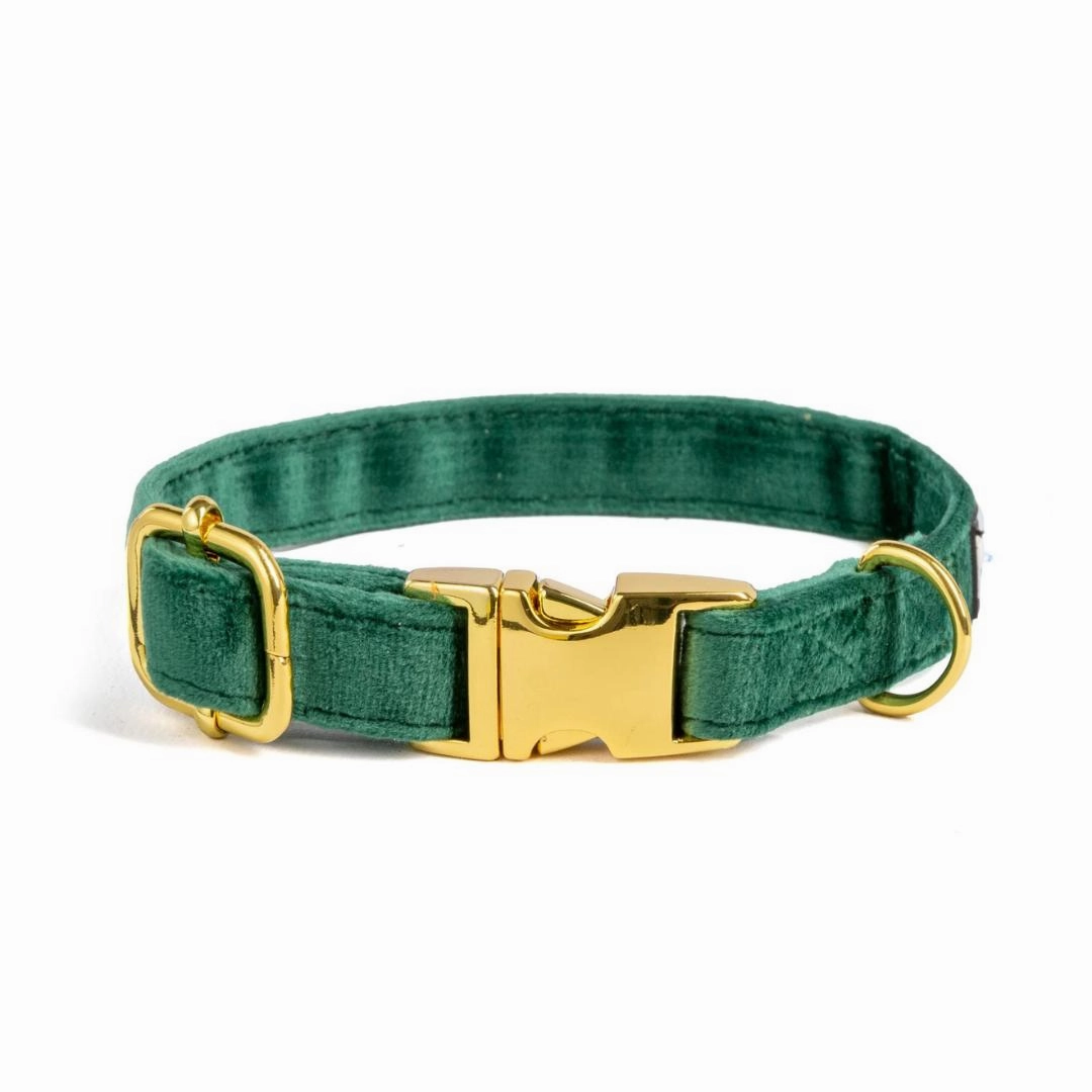 Luxury Emerald Green Velvet Harness, Dog Collar And Bow Tie, Lead and Poo Bag Holder Complete Set