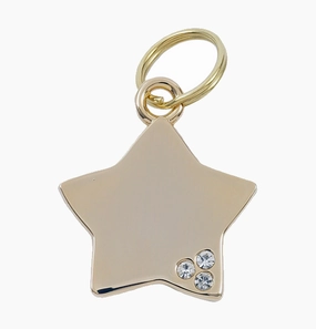Luxury Gold Star Designer Dog Tag