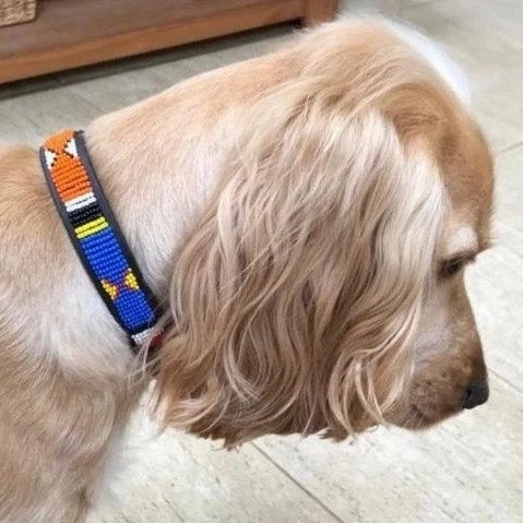 Luxury Masai Beaded Leather Dog Collars In Bright