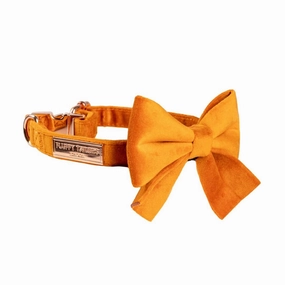 Luxury Orange Velvet Dog Collar And Bow Tie Set