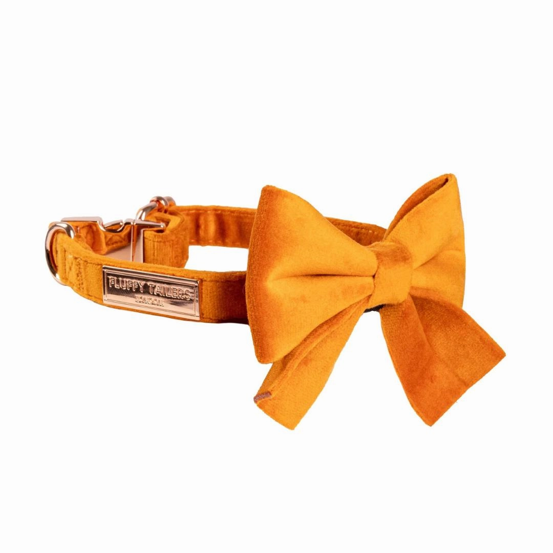 Luxury Orange Velvet Harness, Dog Collar And Bow Tie, Lead and Poo Bag Holder Complete Set