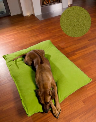 Luxury Orthopaedic Divan Uno Dog Bed