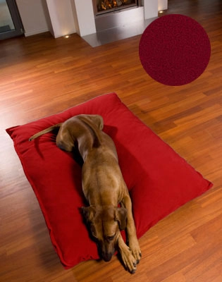 Luxury Orthopaedic Divan Uno Dog Bed