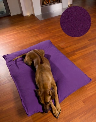 Luxury Orthopaedic Divan Uno Dog Bed