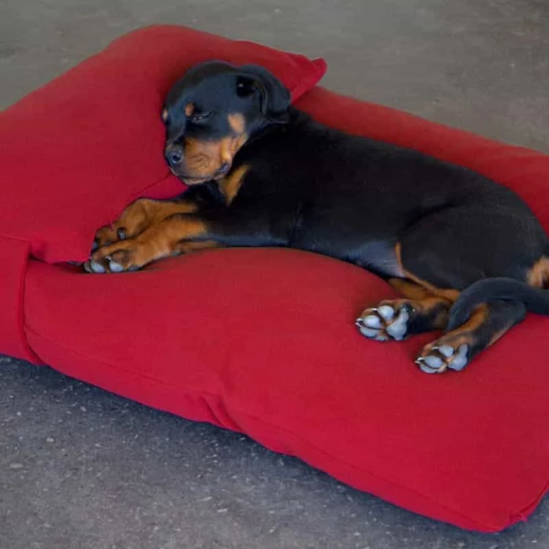 Luxury Orthopaedic Head Pillow