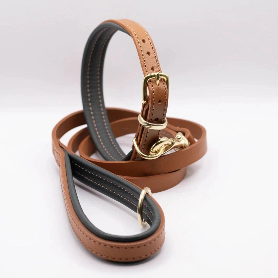 Luxury Padded Leather Dog Collar Tan & Racing Green by Dogs & Horses