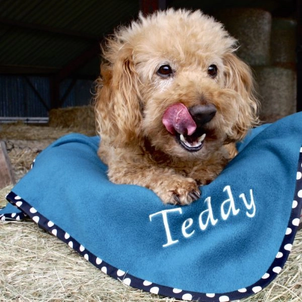 Luxury Personalised Pet Blankets In Teal With Black/Cream Spots