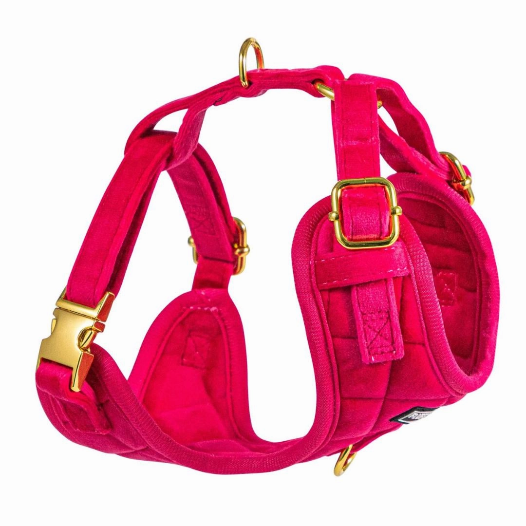 Luxury Pink Velvet Harness, Dog Collar And Bow Tie Set