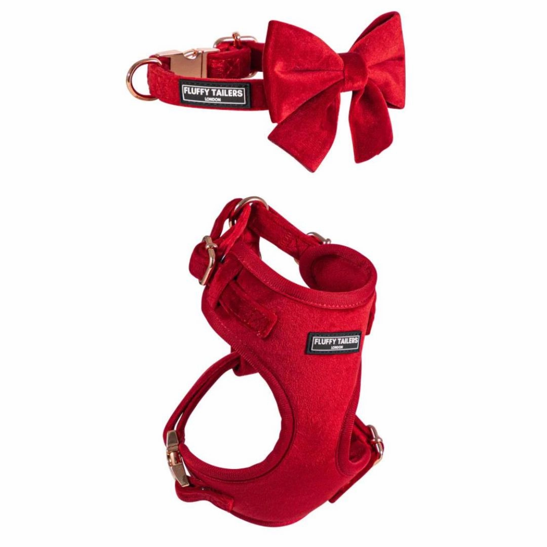 Luxury Red Velvet Harness, Dog Collar And Bow Tie Set