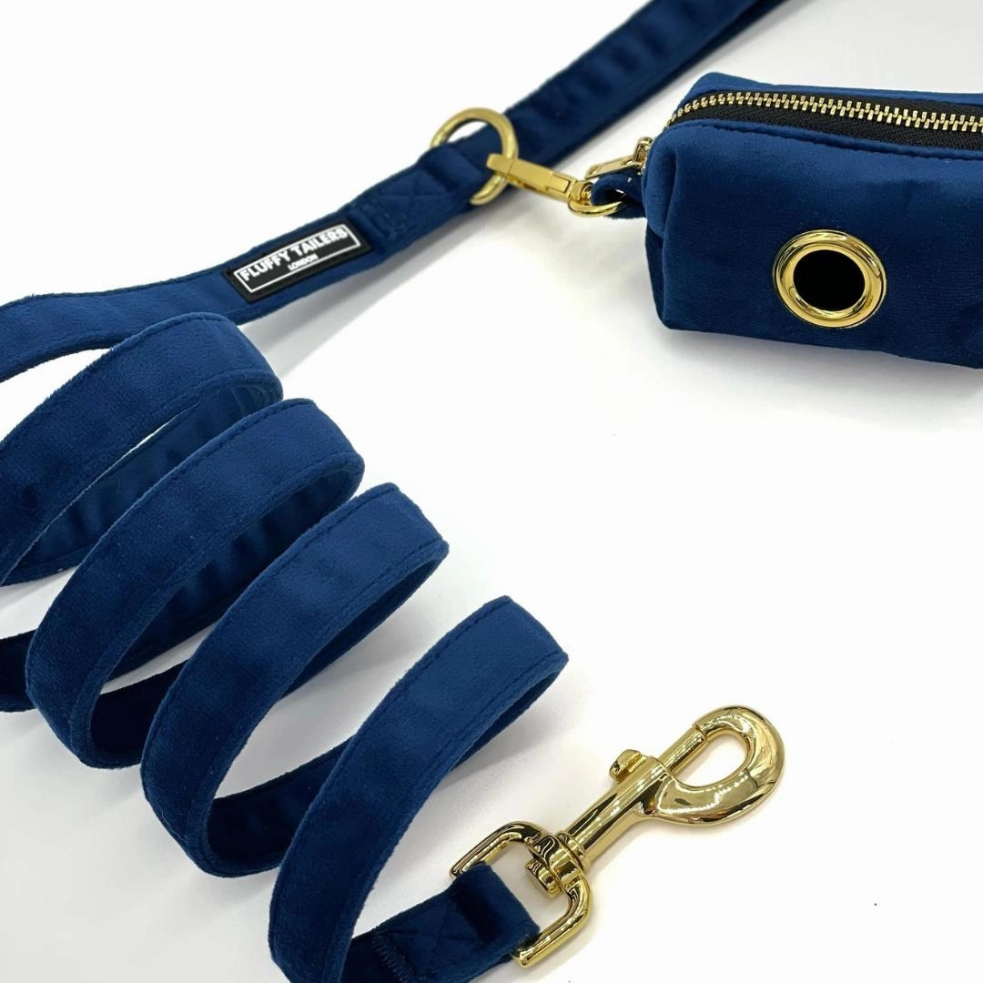 Luxury Royal Blue Velvet Harness, Dog Collar And Bow Tie, Lead and Poo Bag Holder Complete Set