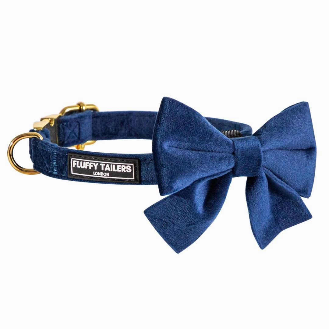 Luxury Royal Blue Velvet Harness, Dog Collar And Bow Tie Set