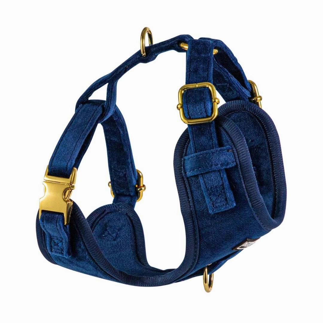 Luxury Royal Blue Velvet Harness, Dog Collar And Bow Tie Set