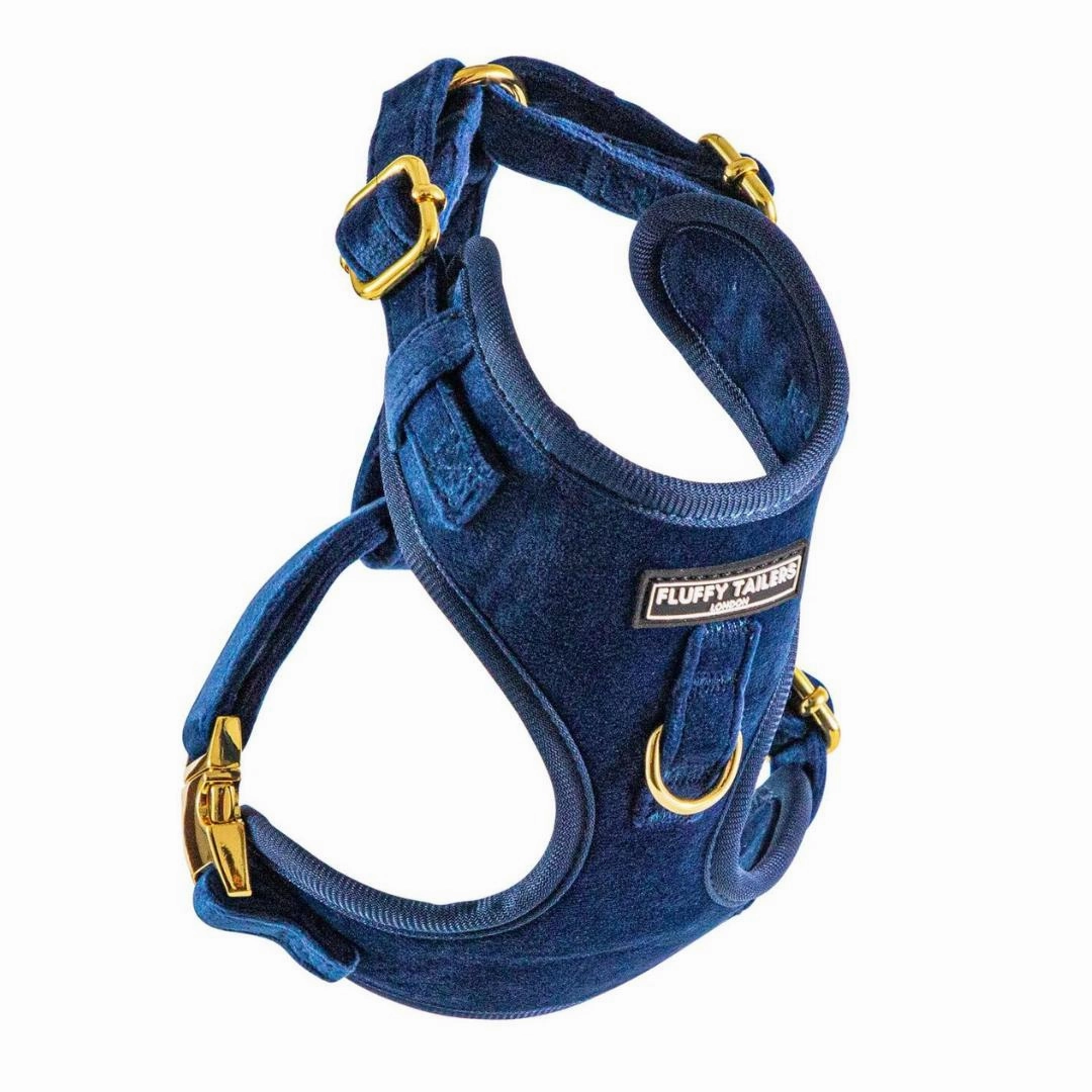 Luxury Royal Blue Velvet Harness, Dog Collar And Bow Tie Set