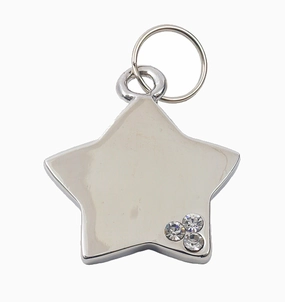 Luxury Silver Star Designer Dog Tag