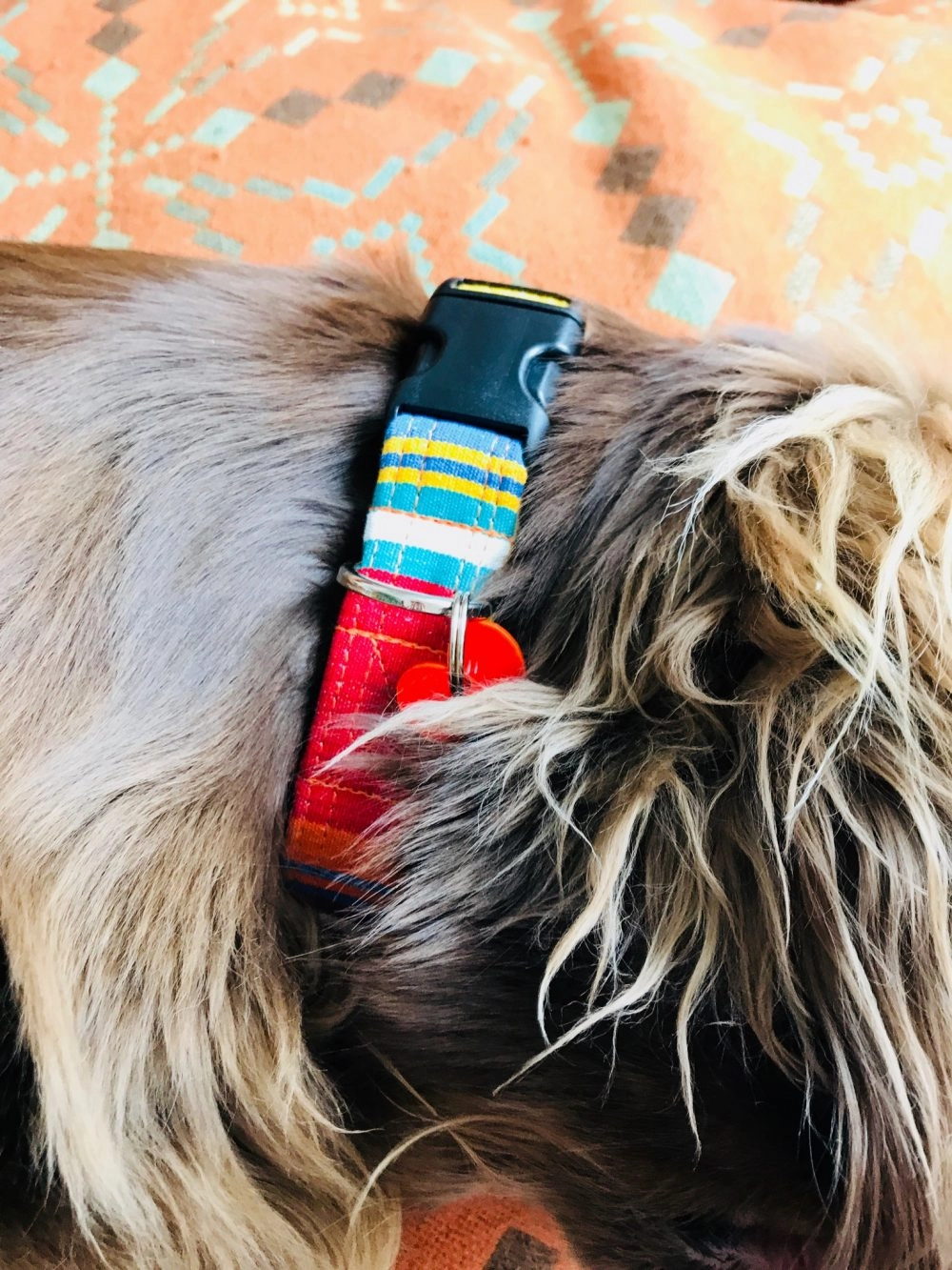 Margate Striped Velvet Lined Designer Dog Collar