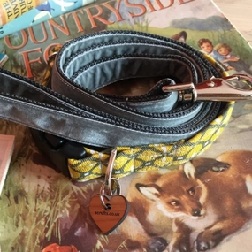 Max Mid Century Modern Geometric Dog Collar and Grey Velvet Lead Set