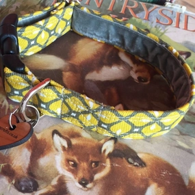 Max Mid Century Modern Geometric Velvet Lined Dog Collar