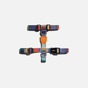 Maze H-Harness