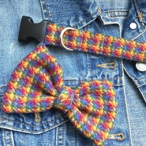 McJoy Rainbow Harris Tweed Dog Collar With Detachable Bow Tie