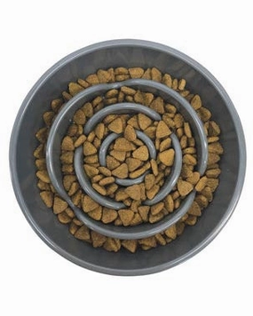 Messy Mutts Slow Interactive Feeder Dog Bowl - Large, 3 Cups