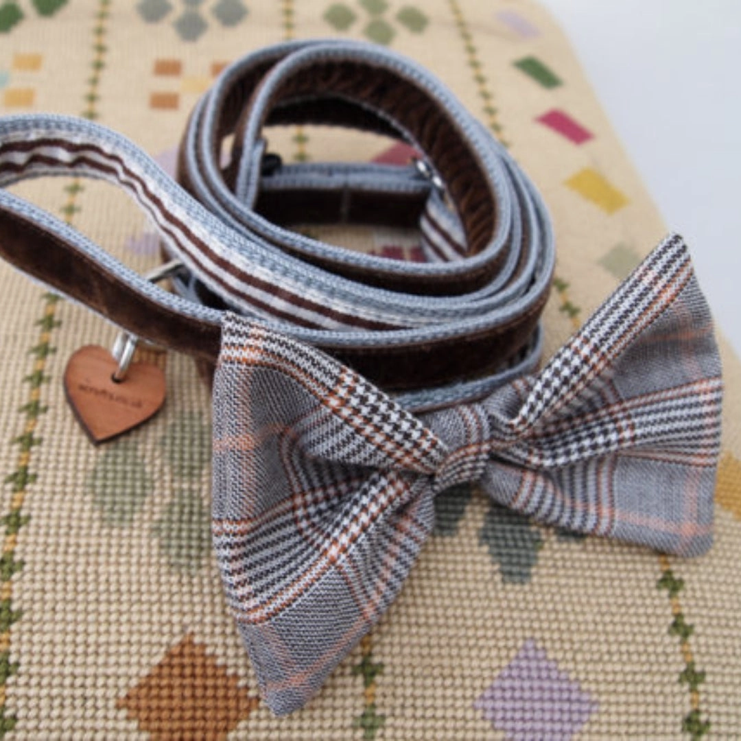 Mini Astaire Bow Tie Puppy Collar and Lead Set