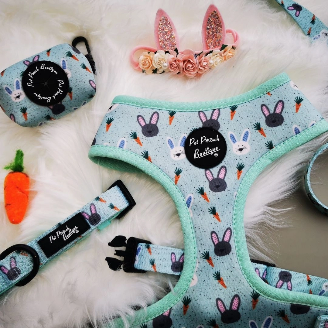 Mint Choc Chip Easter Bunny Dog Collar
