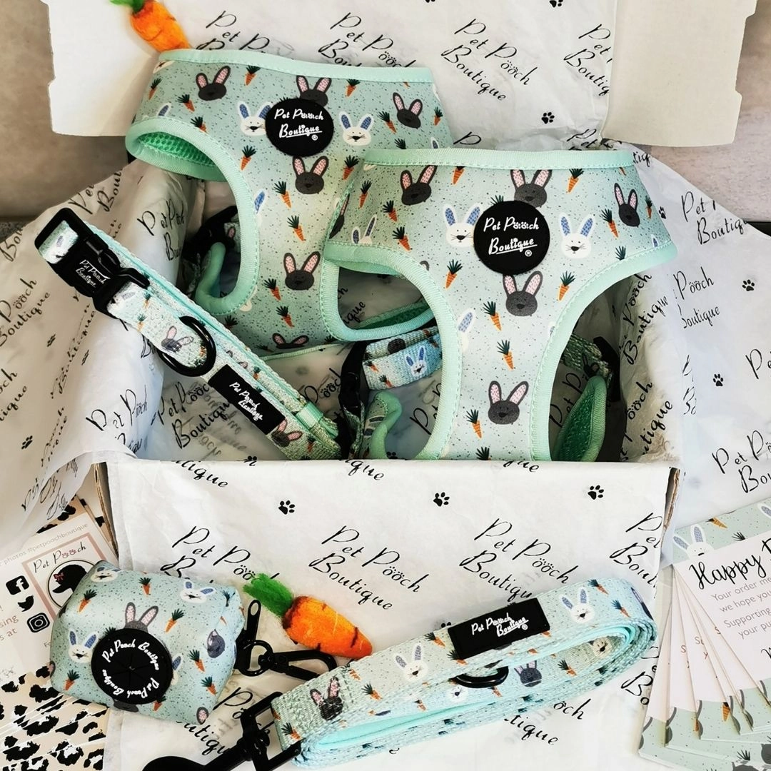 Mint Choc Chip Easter Bunny Dog Collar