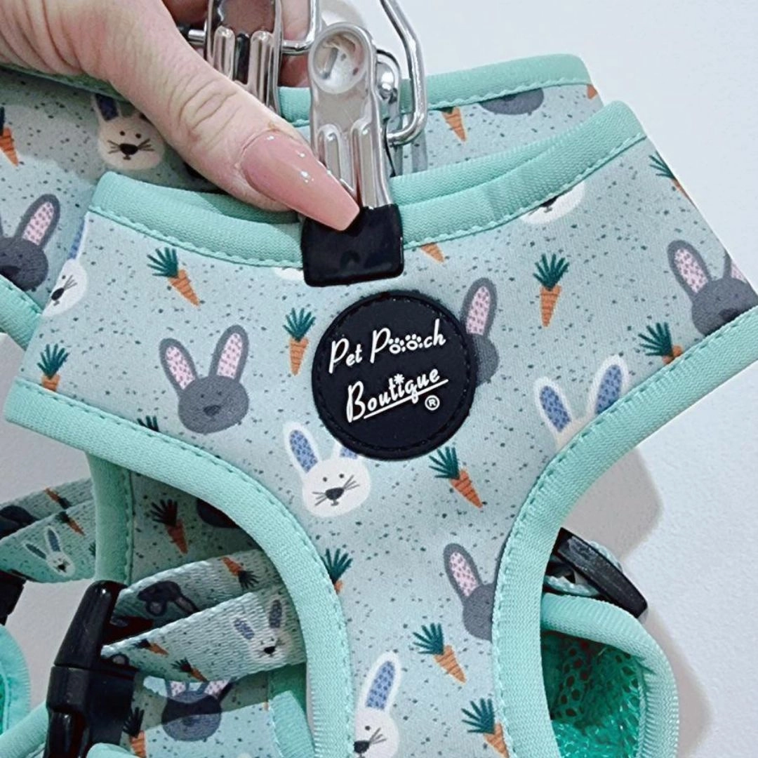 Mint Choc Chip Easter Bunny Dog Harness