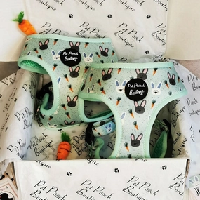 Mint Choc Chip Easter Bunny Dog Harness