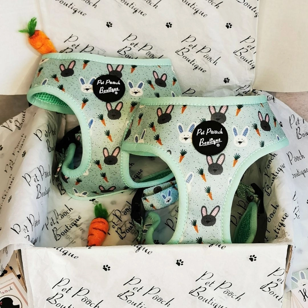 Mint Choc Chip Easter Bunny Dog Harness