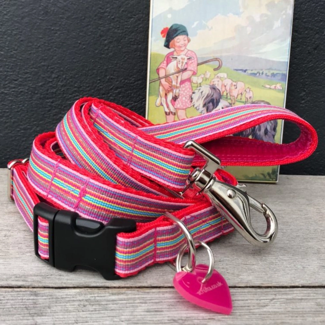 Mivvi Stripes Dog Collar and Lead Set