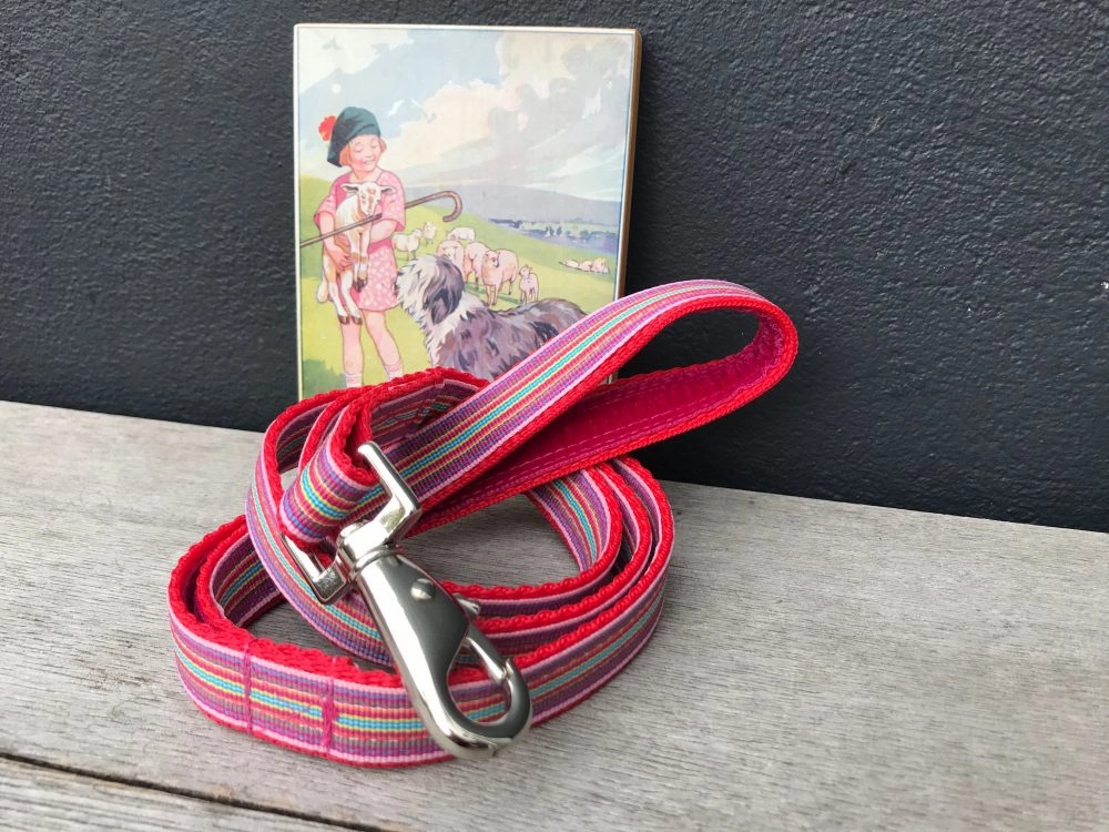 Mivvi Stripes Dog Collar and Lead Set