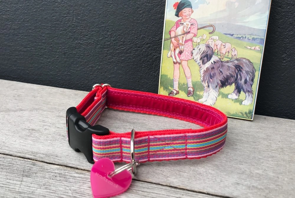 Mivvi Stripes Dog Collar and Lead Set
