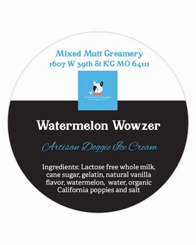 Mixed Mutt Creamery Watermelon Wowzer Artisan Doggie Ice Cream